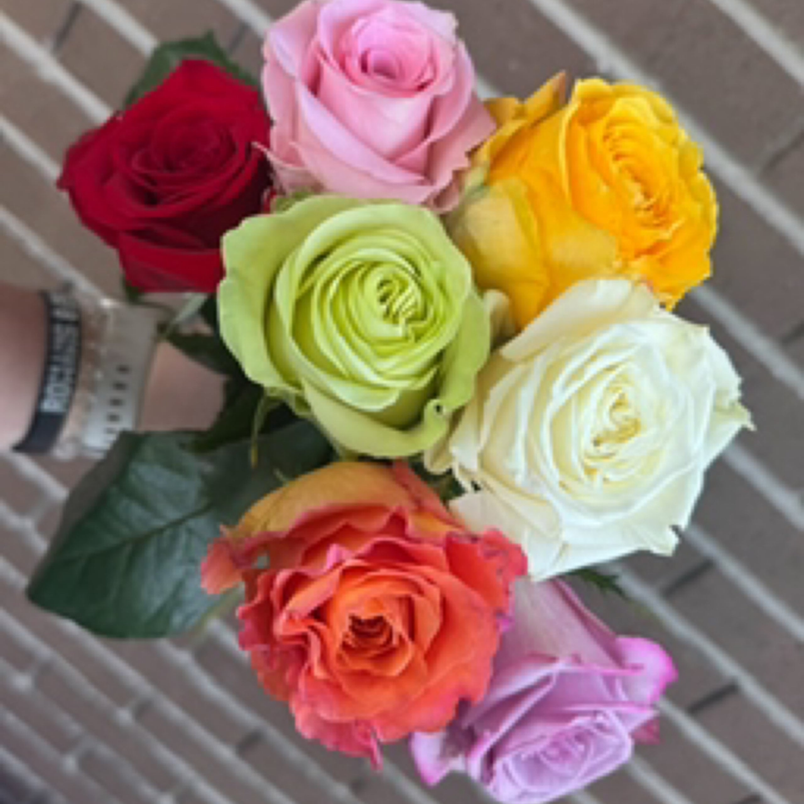 Half Dozen Roses | A Ring Around the Roses